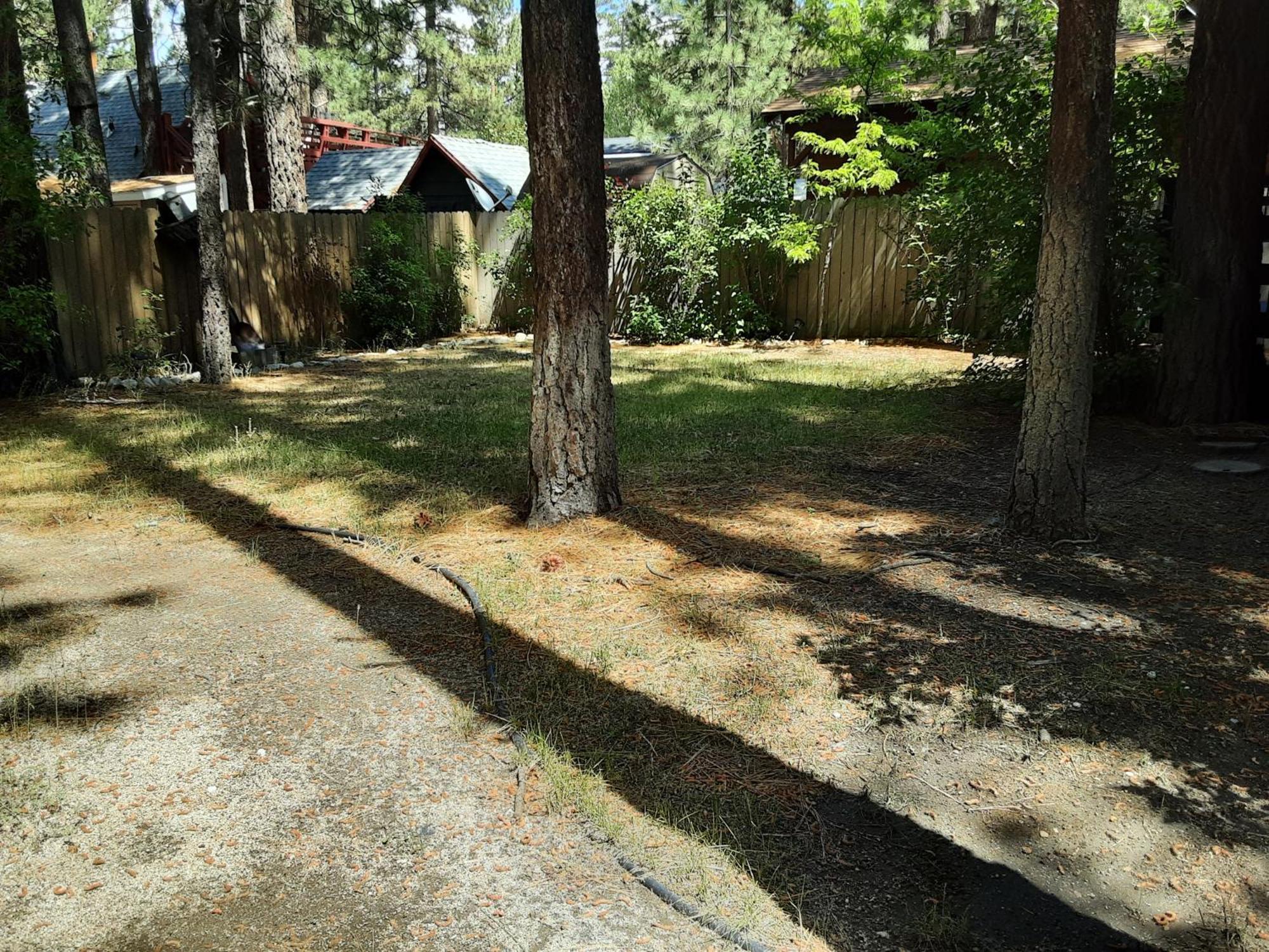 Bearadise - Prime Location For A Family Getaway In The Winter Or Summer 빅 베어 시티 외부 사진